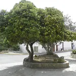 Pensiune Pipo Banjol