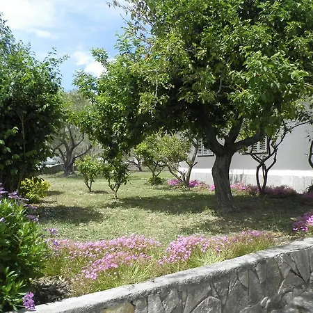 Pensiune Pipo Banjol