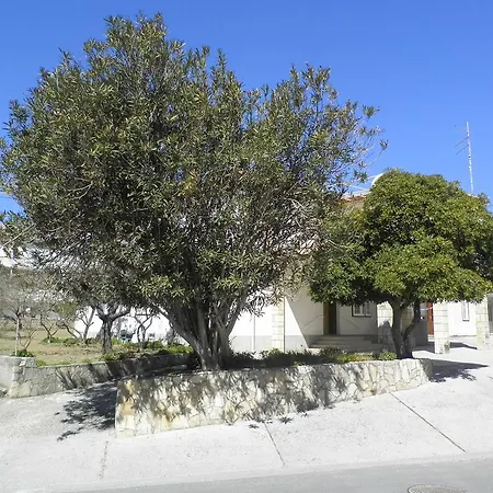 Pipo Pensiune Banjol