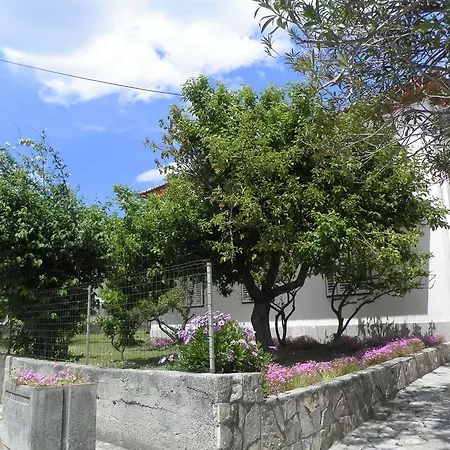 Pipo Casa de hóspedes Banjol