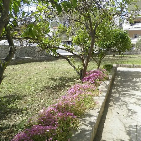 Konukevi Pipo